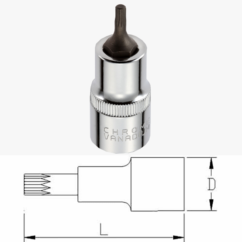 1/2" Dr. Spline Bit Socket